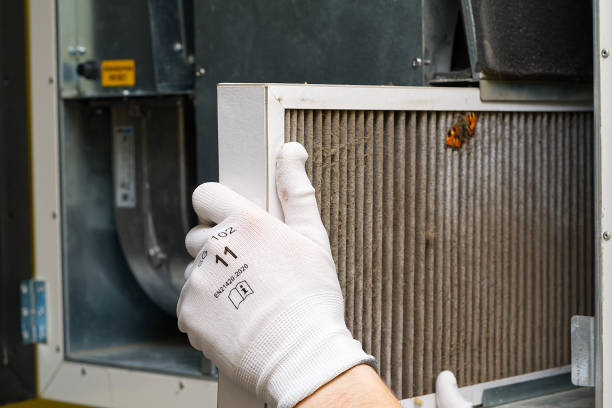 Best Best Air Duct Cleaning Company  in Monte Alto, TX