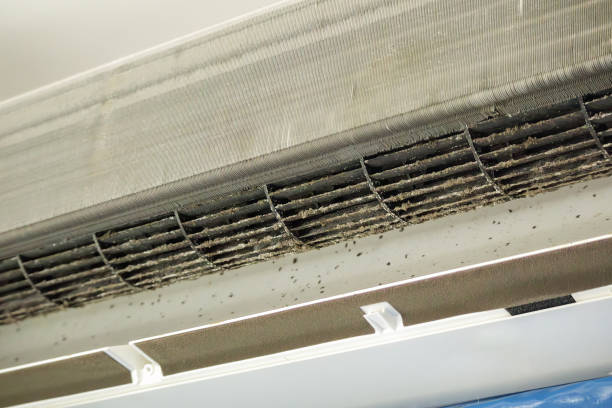 Best Affordable Air Duct Cleaning  in Monte Alto, TX